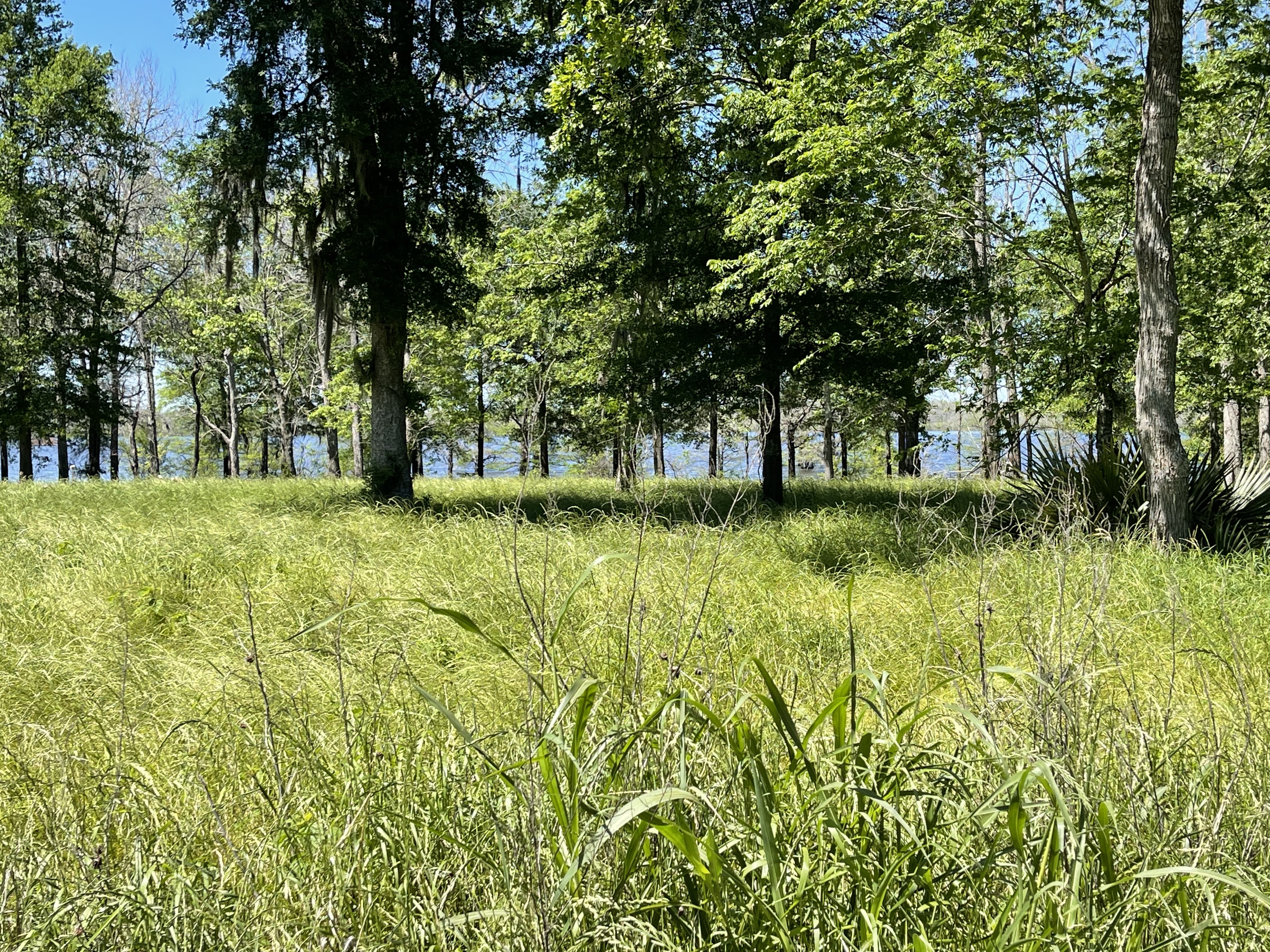 1.149± Acres on Saline Lake at Sandy Point Subdivision
